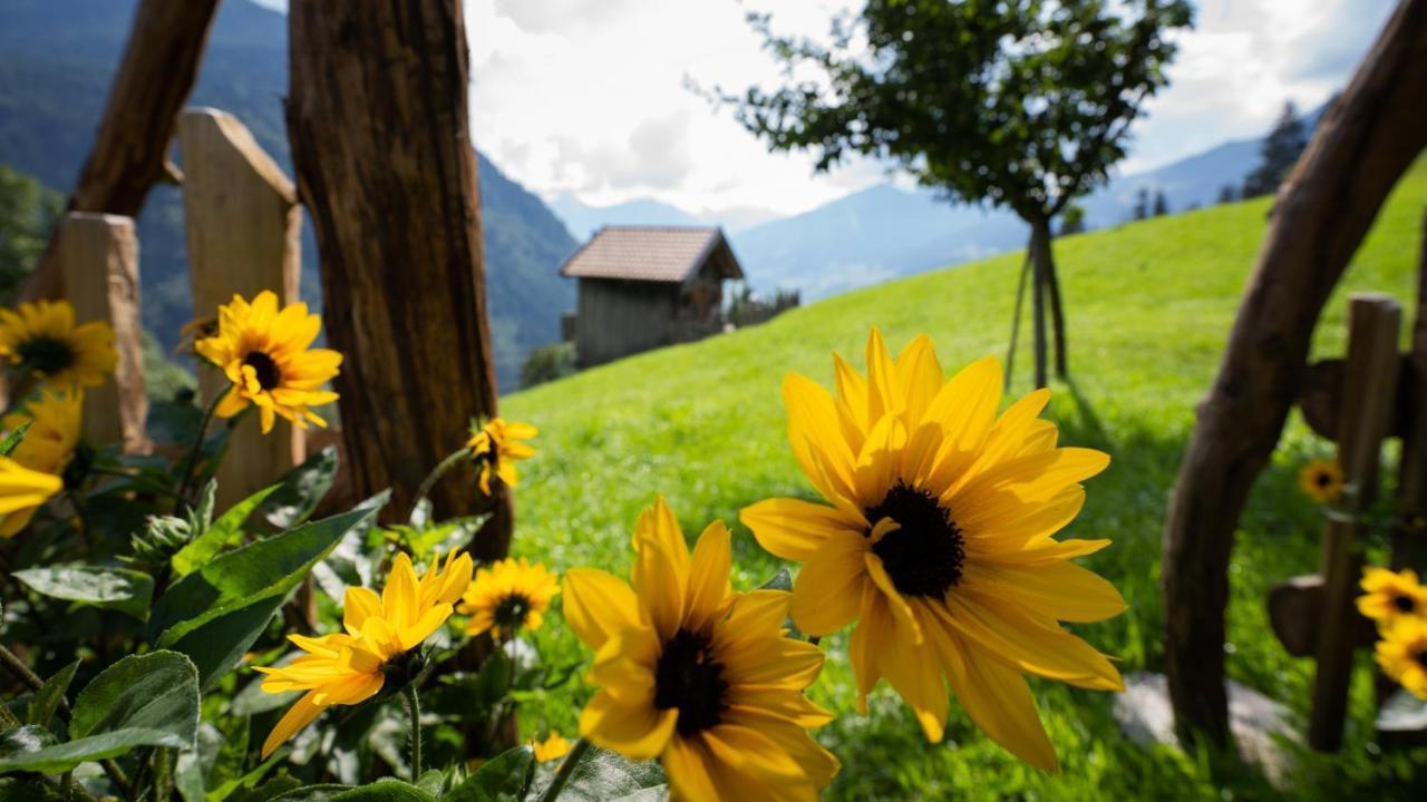 Chalet Schroeckgut バート・ホーフガシュタイン エクステリア 写真