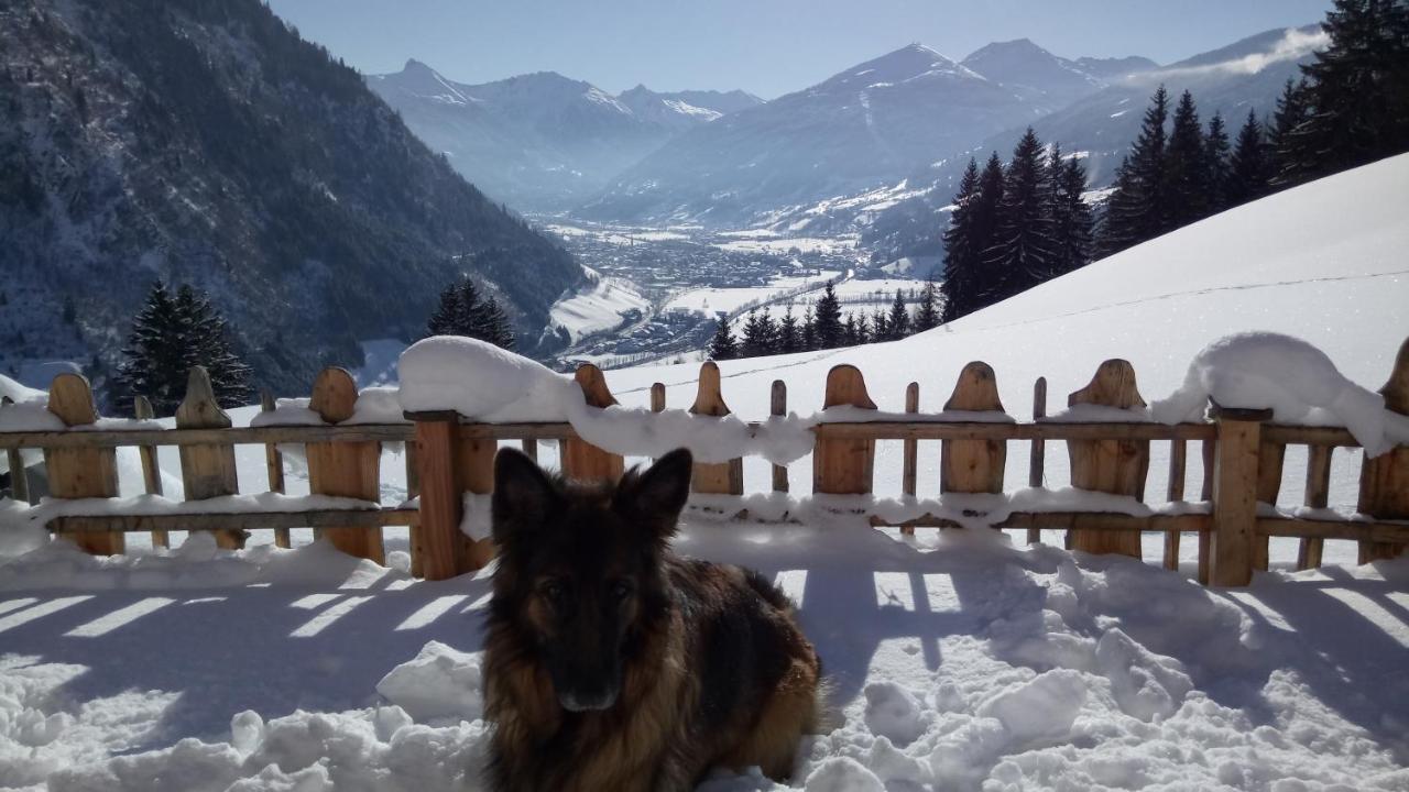 Chalet Schroeckgut バート・ホーフガシュタイン エクステリア 写真
